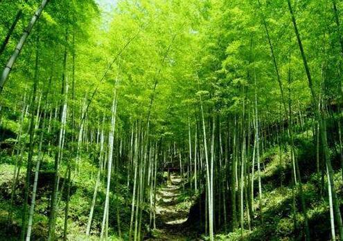 人少景美！五一小長(cháng)假最適合出游的的當地