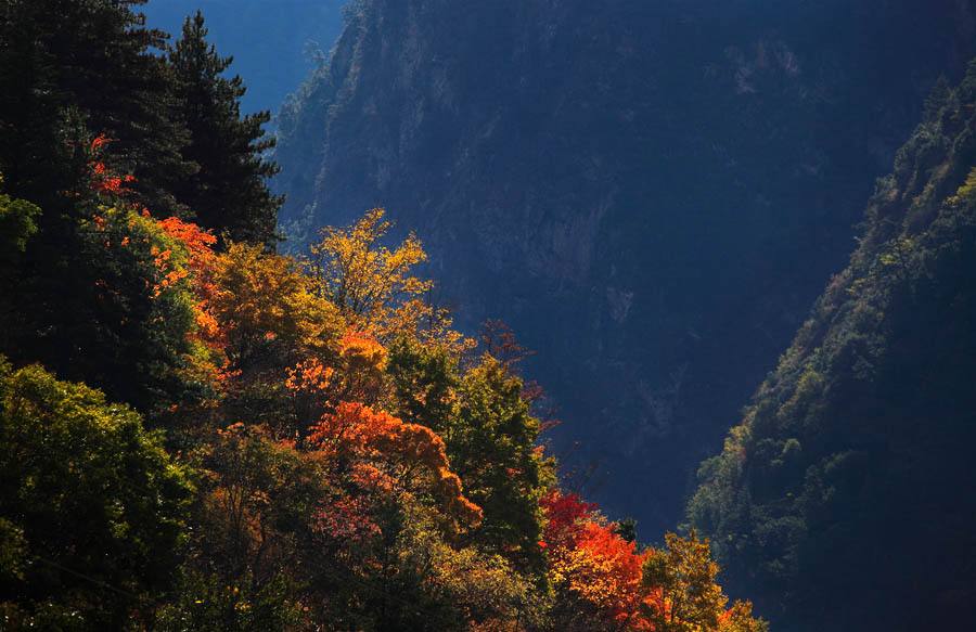 【川藏線(xiàn)旅行租車(chē)】最終的米亞羅，真實(shí)的彩林天堂